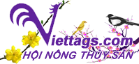 https://www.viettags.com