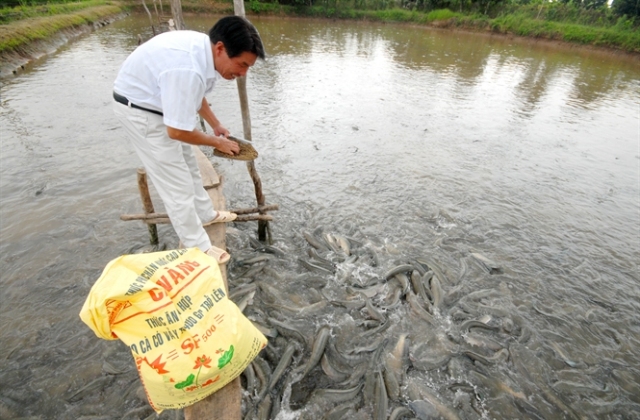 Cá lóc giảm giá, cua đinh hốt bạc..