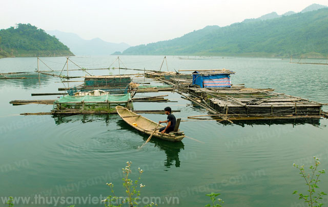 Quảng Nam: Phê duyệt dự án nuôi thủy sản tập trung tại Núi Thành