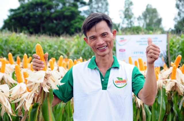 Gói giải pháp Dekalb® Genuity® tại phía Bắc...