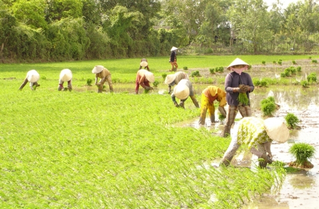 Giải pháp tiết kiệm nước tưới..