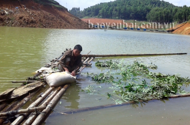 Yên Bái: Hướng thoát nghèo ở Vĩnh Kiên