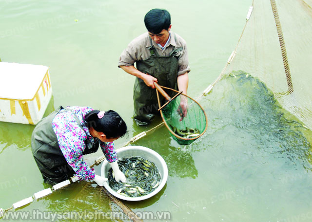 Khi Chủ tịch hết lòng vì Hội…