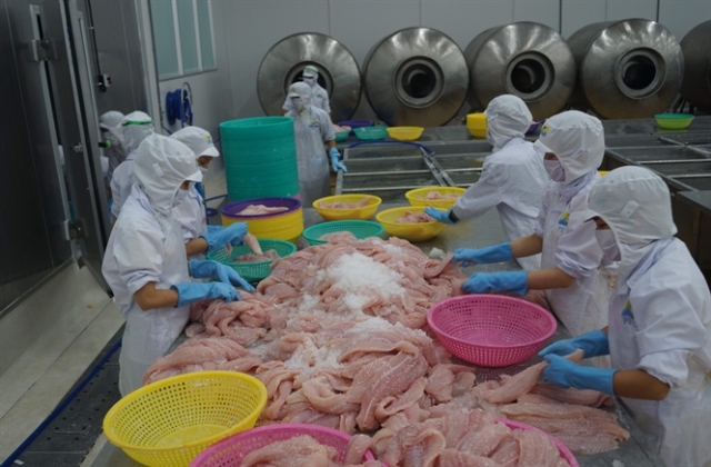 Xuất khẩu thủy sản sẽ tăng trở lại..