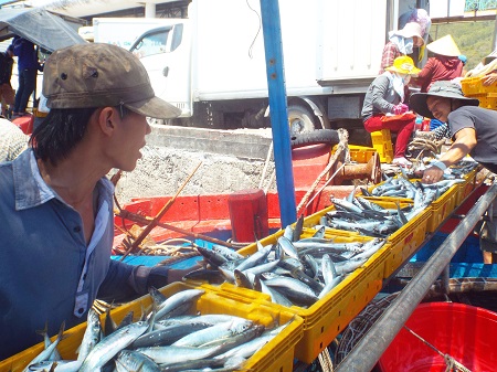Tôm Việt gặp khó: Áp thuế kiểu Mỹ