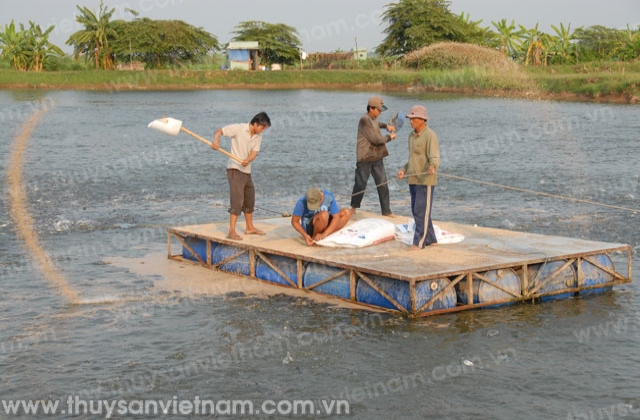 Triển khai truy xuất nguồn gốc cá tra xuất khẩu