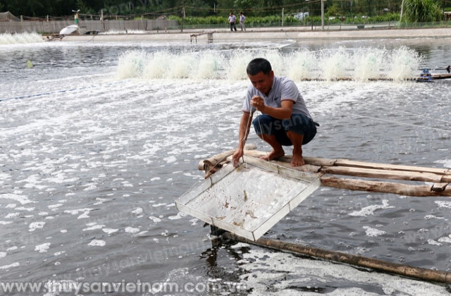 Hà Tĩnh: Nhận 10.000 kg Chlorine phòng chống bệnh thủy sản