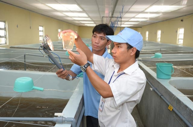Tích hợp đầu tư khoa học thủy sản