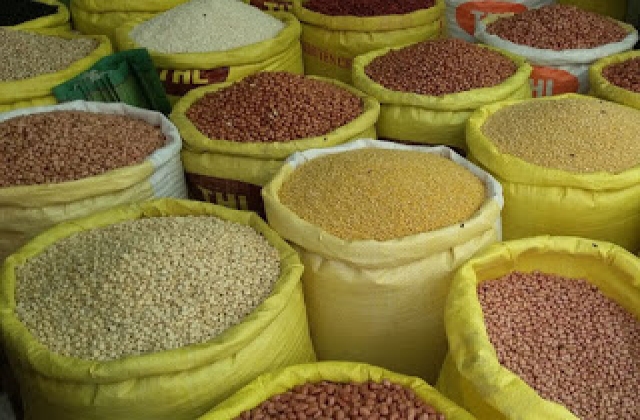 GMO 'giấu mặt