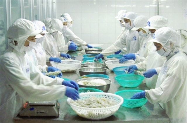 Ngành tôm ấm dần