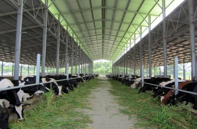 NÔNG NGHIỆP THÀNH PHỐ TRƯỚC THỀM TPP