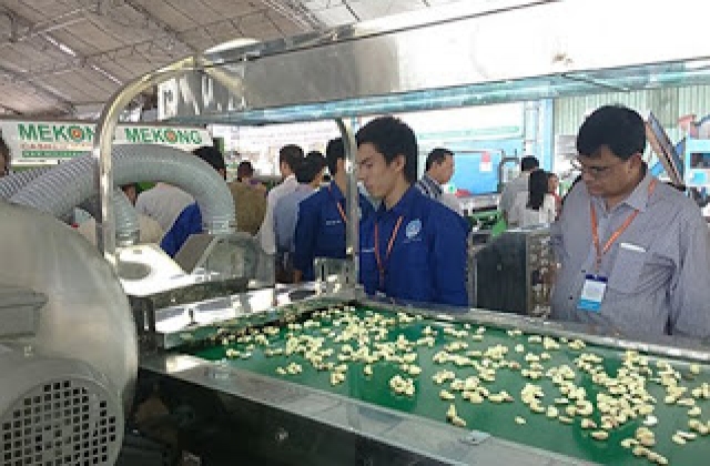 Hạt điều Việt Nam trở thành ông