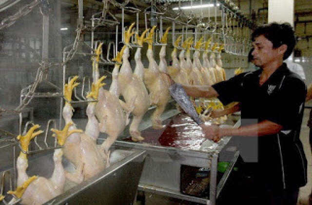 Đồng Nai sẽ mở 7 cửa hàng bán thịt theo tiêu chuẩn VietGAHP