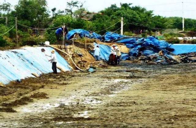 Bình Định: Chuẩn bị vụ nuôi tôm năm 2016: Khuyến cáo thực hiện các biện pháp nuôi tôm bền vững