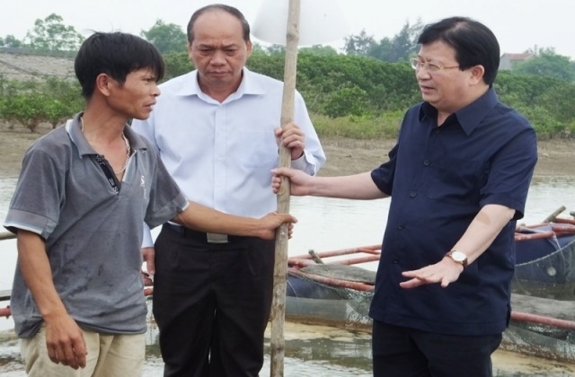 Vụ cá chết dọc miền Trung: Nếu có vi phạm, xử nghiêm không trừ một ai