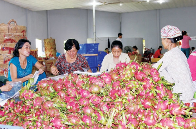 Nông nghiệp Việt Nam 2016: Cơ hội tăng tốc từ hội nhập