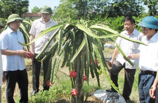 Tăng cung cấp thông tin và phản ánh trăn trở của nông dân