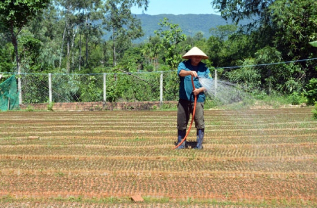 Quế An khởi sắc bằng các mô hình kinh tế