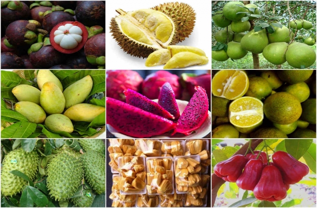 Cả trăm loại nông sản thực phẩm an toàn Nam Bộ