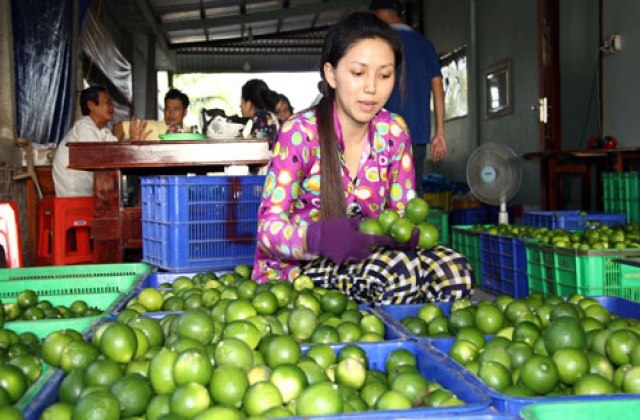 Xây dựng chuỗi giá trị NN bền vững: Cần “bệ phóng” từ cơ chế, chính sách