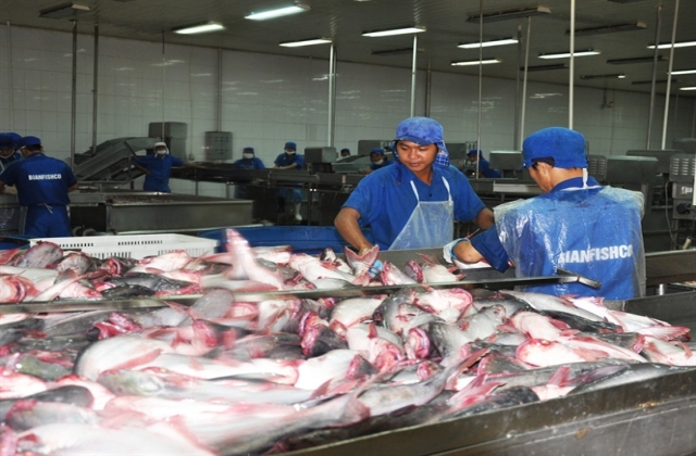 EU tiếp tục cảnh báo hàng thủy sản Việt Nam dư lượng kim loại nặng