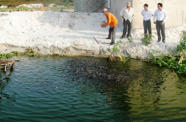 Người dân chuyển đổi sinh kế sau sự cố môi trường biển