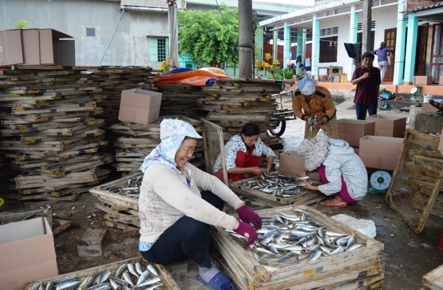 Cần xây dựng thương hiệu cho sản phẩm cá hấp khô Cửa Việt