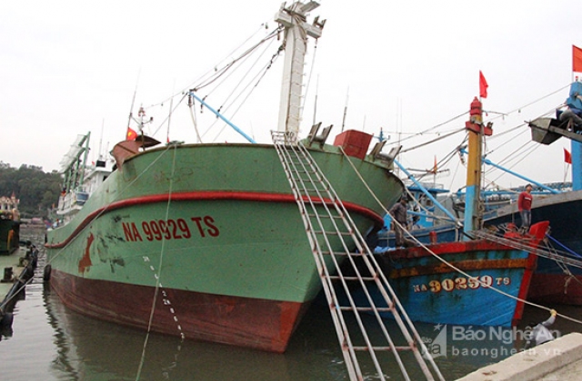 Trà Vinh: Người nuôi tôm thiệt hại nặng do bệnh lạ