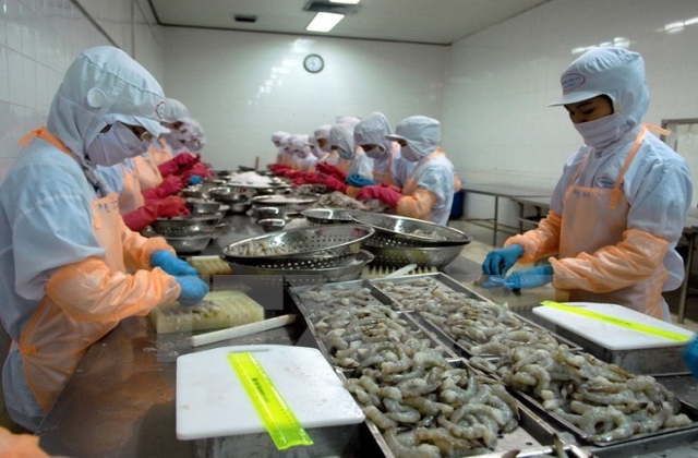 Xuất khẩu tôm tăng trưởng mạnh, cá tra vẫn gặp khó