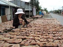 An Giang: Sản lượng tiêu thụ khô cá lóc giảm