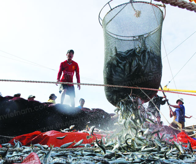 Sự cần thiết phải thực hành trách nhiệm xã hội (CSR) trong thủy sản