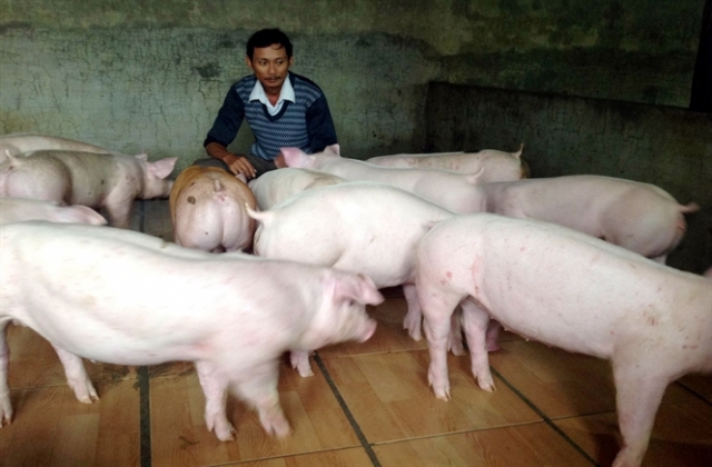 Lợn, dưa hấu - những điệp khúc 'lên, xuống' chưa hồi kết...