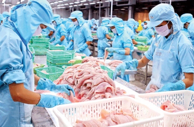 Xuất khẩu cá tra cần “giành lại” tăng trưởng từ Mỹ và EU