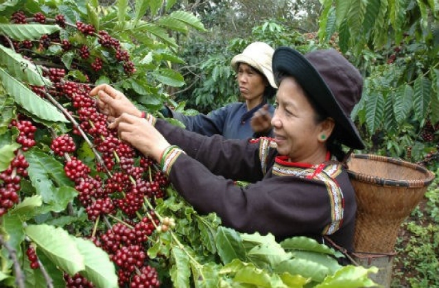 Giảm “cho không”, tăng cho vay ưu đãi