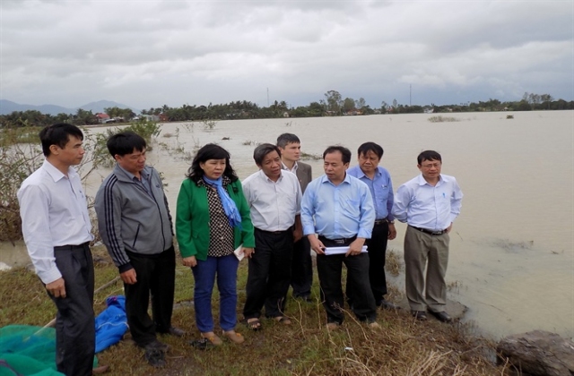 Khánh Hòa, Quảng Ngãi đề nghị hỗ trợ gạo cùng hàng trăm tấn giống cây trồng các loại