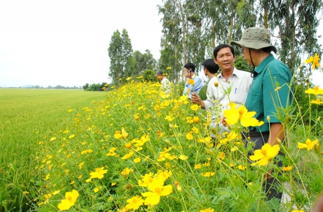 Quản lý nông nghiệp sinh thái..