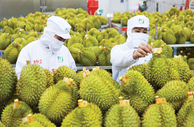 Giá nông sản tại TP Châu Đốc