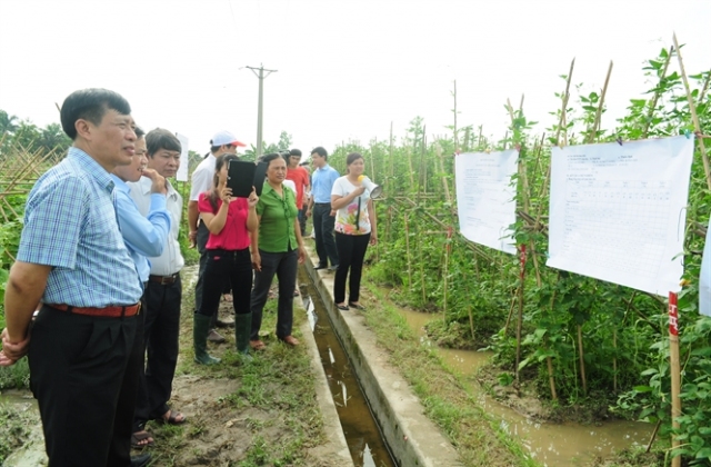 Lợi ích bền vững từ lớp IPM...
