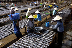 An Giang: Có 19 sản phẩm khô cá, mắm cá được công bố phù hợp với quy chuẩn kỹ thuật