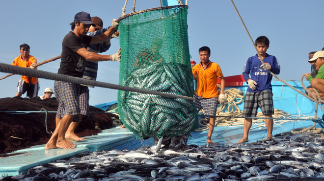 Tín dụng cho ngư dân: Vì sao vẫn khó?