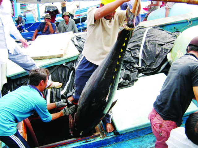 Khánh Hòa đang thiếu lao động biển