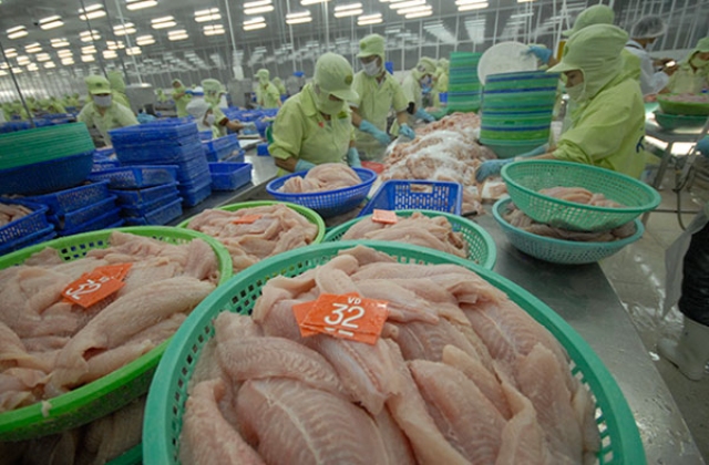 Đề nghị đánh giá tương đương sản phẩm cá tra Việt Nam