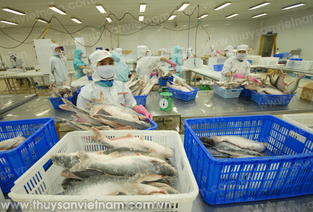 Xuất khẩu năm 2015: Sóng lớn thử tay chèo