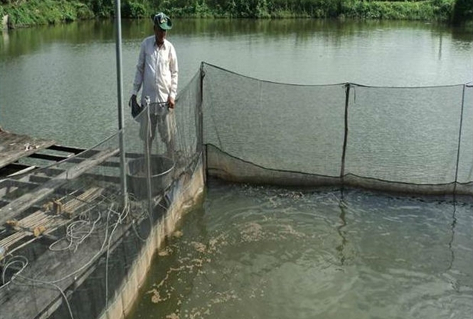 Nuôi thủy đặc sản thu nhập cao