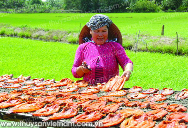 Nông thôn mới Sóc Trăng: Điểm sáng Phú Tân