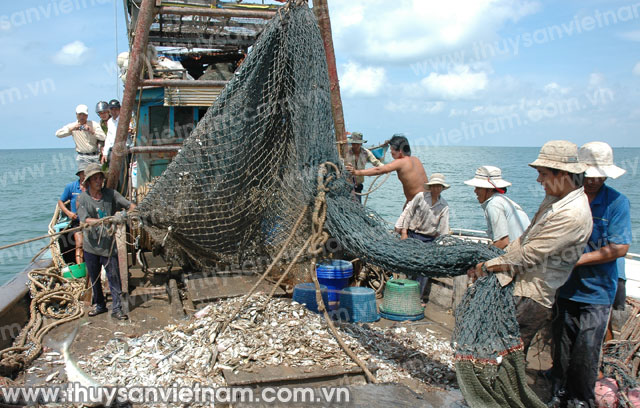 Tín dụng cho ngư dân: Vì sao vẫn khó?