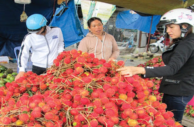 Được giá hơn nhờ trái cây vụ nghịch