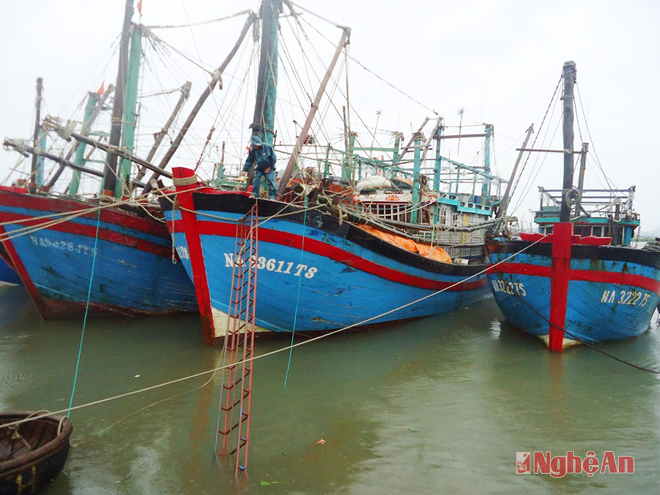 Nghệ An: Mong chờ mùa biển cuối năm