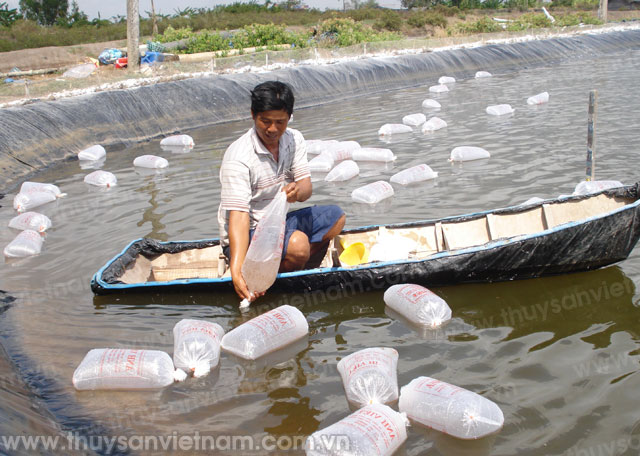 Hội Nghề cá Tiền Giang: Phát huy vai trò cầu nối với hội viên ngư dân