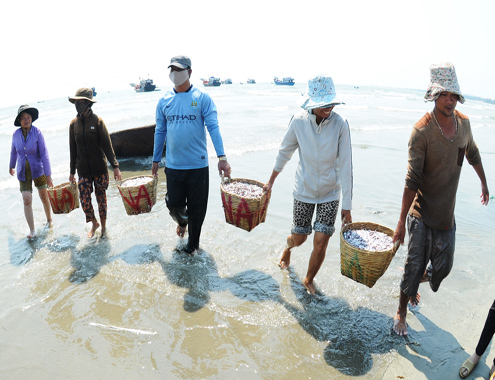 Thu trăm triệu đồng sau một đêm đánh bắt cá cơm